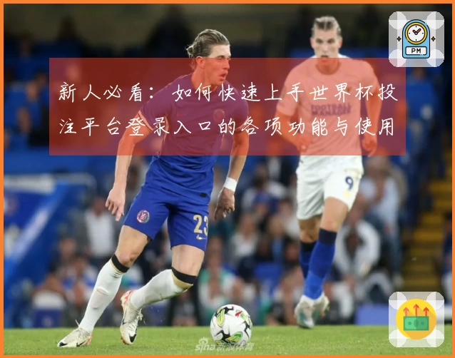 新人必看：如何快速上手世界杯投注平台登录入口的各项功能与使用体验