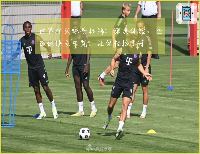 世界杯买球手机端：深度体验，全面优缺点一览，让你轻松上手