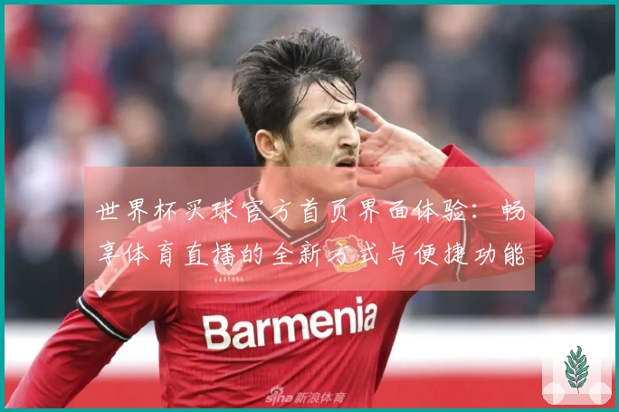 世界杯买球官方首页界面体验：畅享体育直播的全新方式与便捷功能