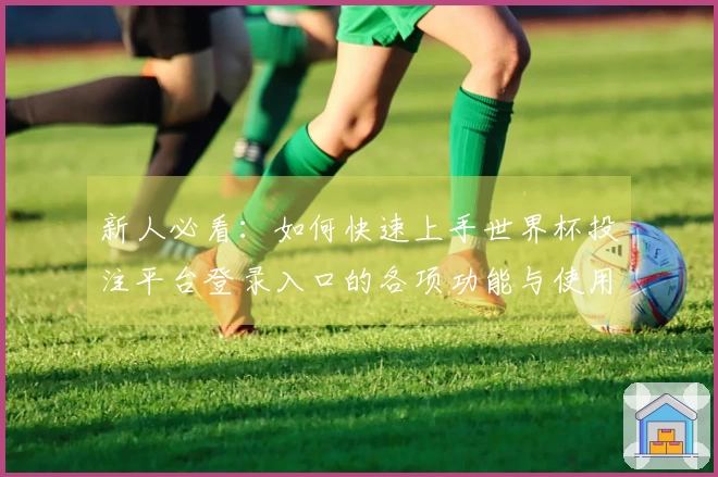 新人必看：如何快速上手世界杯投注平台登录入口的各项功能与使用体验