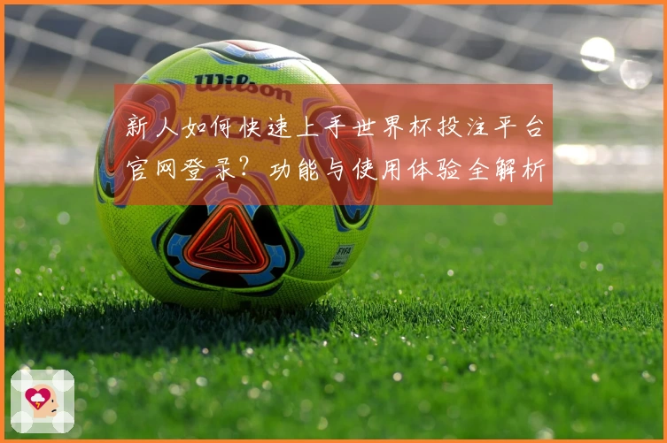 新人如何快速上手世界杯投注平台官网登录？功能与使用体验全解析